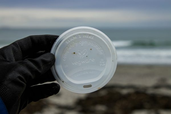 Using environmentally friendly alternatives to plastic cups, containers, and cutlery in Cardiff